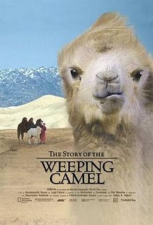 weeping camel
